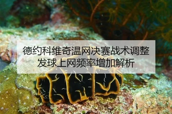 de-yue-ke-wei-qi-wen-wang-jue-sai-zhan-shu-tiao-zheng-fa-qiu-shang-wang-pin-lv-zeng-jia-jie-xi-2-595.jpg